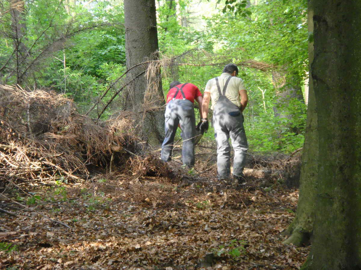 2011-05-07 KPF Wald 11.jpg